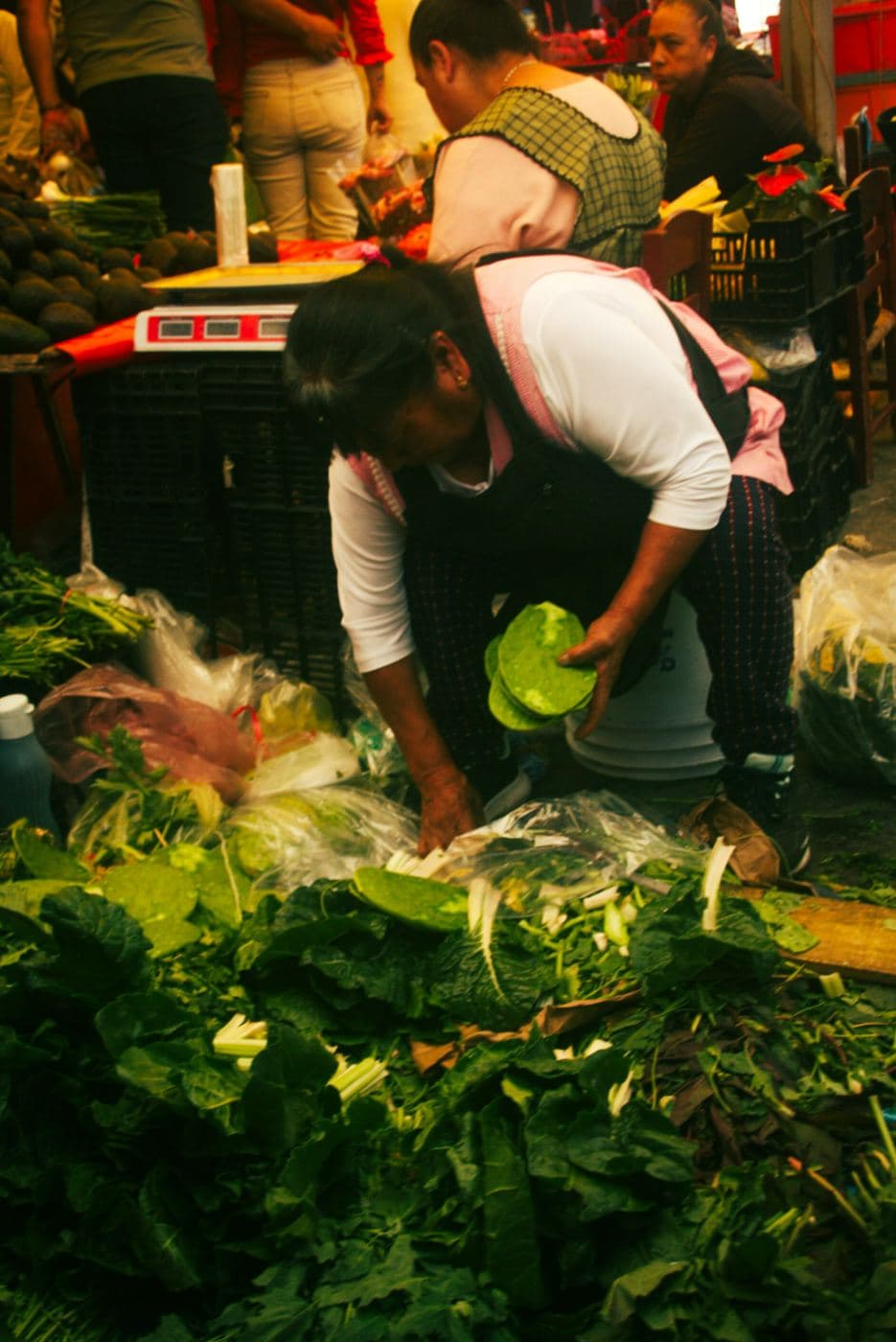 A vendor at a Mexican market sorts fresh nopal cactus pads from a stall piled with greens